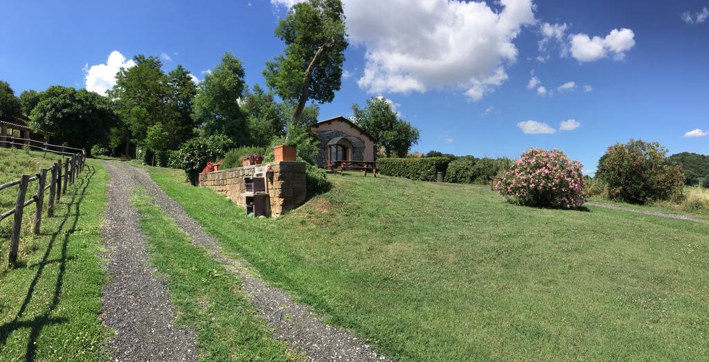 Il Castoro Di Martignano Villa Anguillara Sabazia Luaran gambar