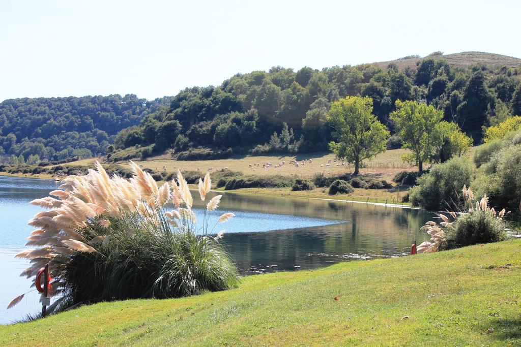 Il Castoro Di Martignano Villa Anguillara Sabazia Luaran gambar