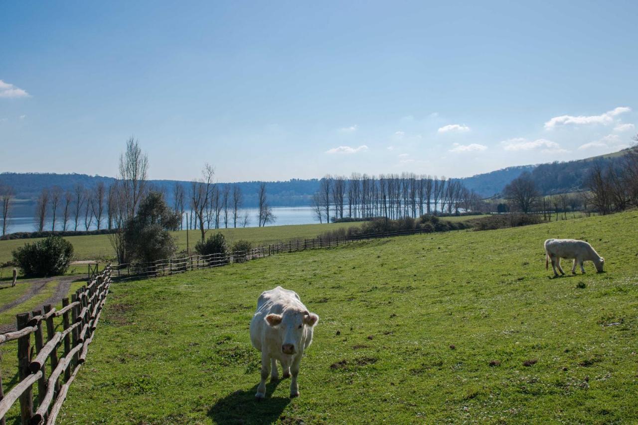 Il Castoro Di Martignano Villa Anguillara Sabazia Luaran gambar